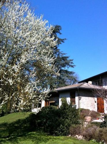 Фотография мини отеля Villa Agata