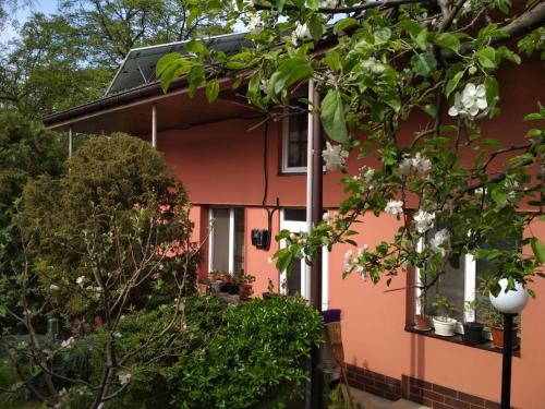 Фотография гостевого дома Ирина