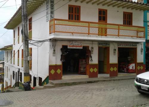 Фотография гостиницы Hotel Felicina