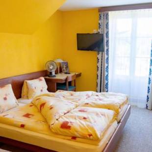 Фотографии мини отеля
Gasthof zum Falken