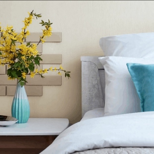 Фотография квартиры Апартаменты на улице Генерала Буткова 36