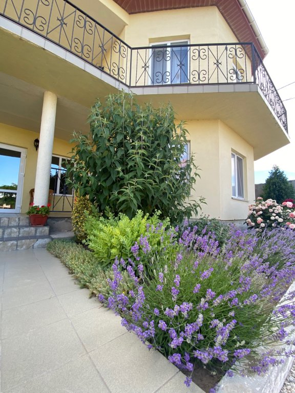 Фотография гостевого дома Вилла Сиеста