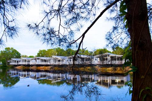 Фотография базы отдыха Discovery Parks - Byron Bay