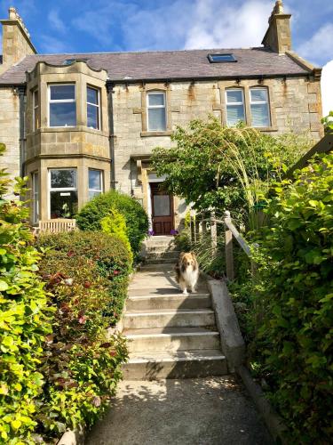 Фотографии мини отеля 
            Rockvilla Guest House