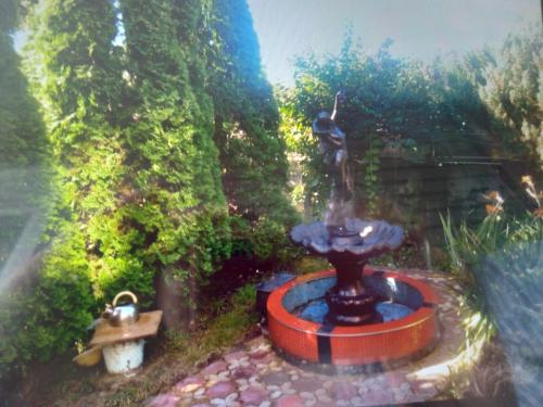 Фотографии гостевого дома 
            Олеандр