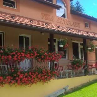 Фотографии гостевого дома 
            Vila Angelina