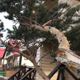 Фотография банкетного зала Байкал - Дар