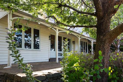 Фотография гостевого дома Botanica