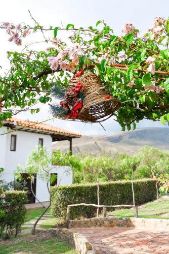 Фотографии гостиницы
Voyaca Hotel y Alfareria