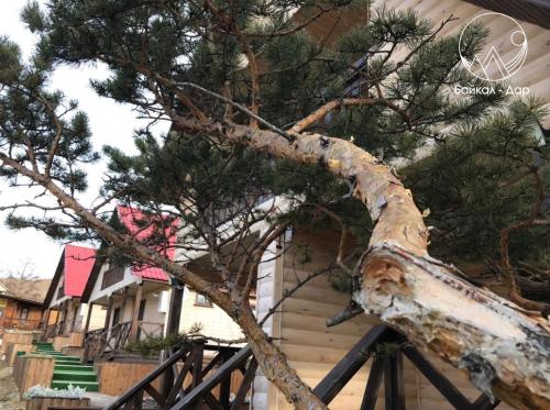 Фотографии гостиницы
Байкал - Дар