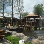 Фотография гостиницы Оазис в Лесу