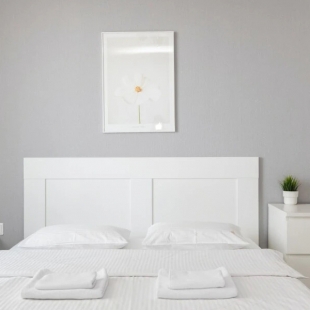 Фотография квартиры Апартаменты Домант Романова 60/1 (3)