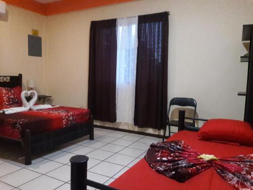 Фотография хостела Alme Hostel