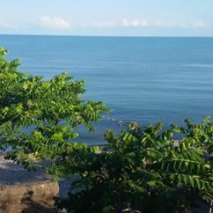 Фотография гостевого дома Ninoshvili 26