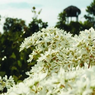 Фотография мини отеля Pousada Refúgio da Serra