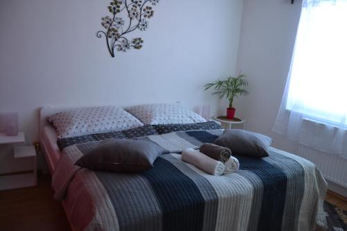 Фотография гостевого дома Ubytování Niagara