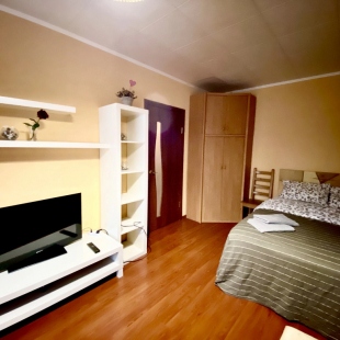 Фотография квартиры Квартира Лайф Апартс 1 ком, на Октябрьской Революции 344