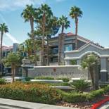 Фотография гостиницы Desert Rose Resort