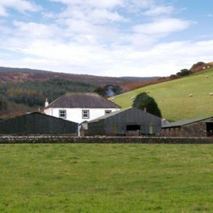 Фотография гостевого дома Homestone Farm