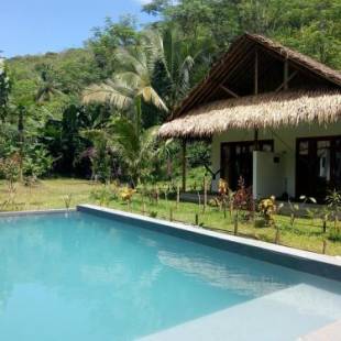 Фотографии мини отеля
RNV Family Guesthouse Eco Resort