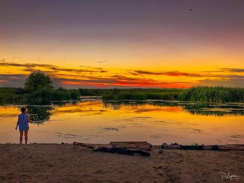 Фотография гостевого дома Corsarul