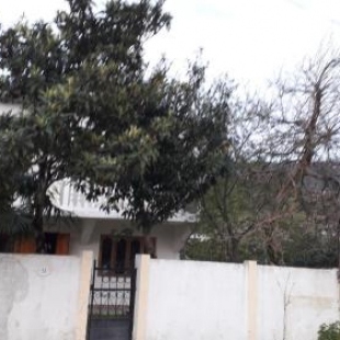 Фотография гостевого дома Батуми-Гонио