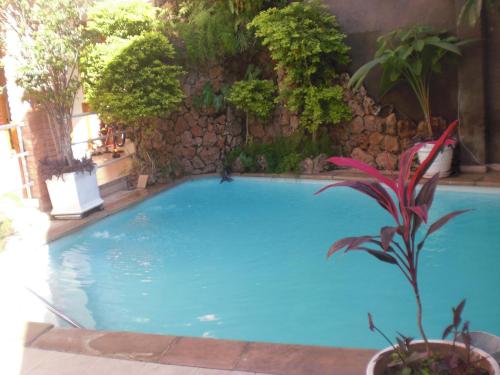 Фотография гостиницы Hotel Palmas del Sol