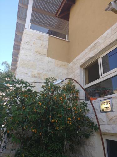 Фотография квартиры Israeli Home