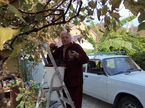 Фотографии гостевого дома
У Зои