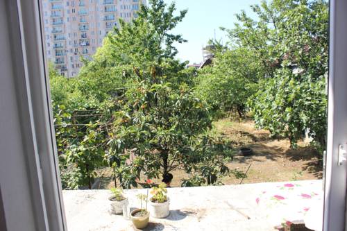 Фотография мини отеля jessis batumi