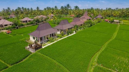 Фотография базы отдыха Masia Villa Ubud