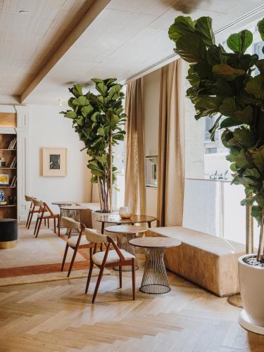 Фотографии гостиницы
Hotel Regina