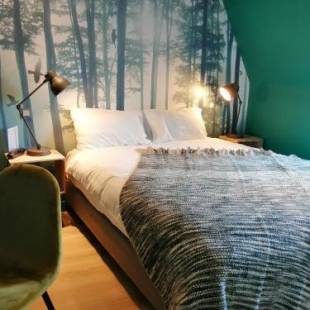 Фотографии гостиницы 
            Hotel Du Cygne Tours