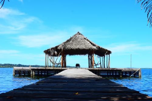 Фотография гостиницы Dolphin Blue Paradise