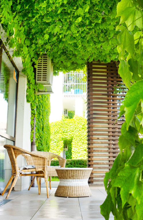 Фотография квартиры Апартаменты Феникс Де Люкс