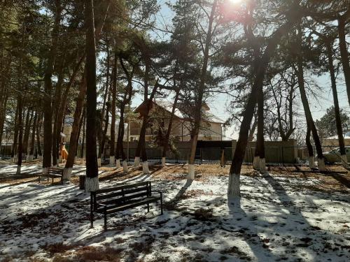 Фотография гостевого дома kojori house