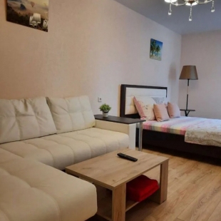 Фотография квартиры Апартаменты на Московском Проспекте 130к1 (341)