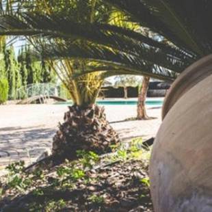 Фотографии гостевого дома 
            2 bedrooms house with shared pool and terrace at Estepa