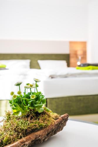 Фотография гостиницы Hotel-Pension Treppengasse Nr 6