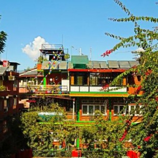 Фотография хостела Shangri-la Boutique Hotel