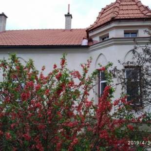 Фотографии апарт отеля
Aparthotel Brokeš