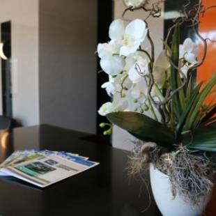 Фотографии гостиницы
Hotel DYMINY