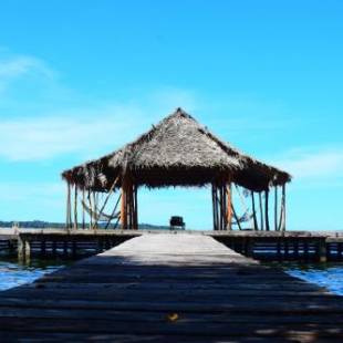 Фотографии гостиницы 
            Dolphin Blue Paradise