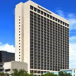 Фотографии гостиницы
The Westin Galleria Houston