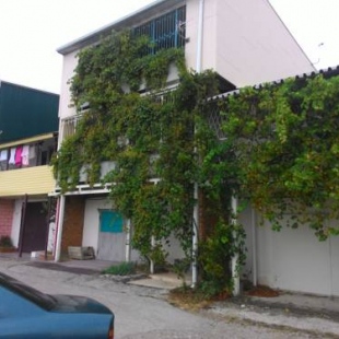 Фотография гостевого дома Лоза