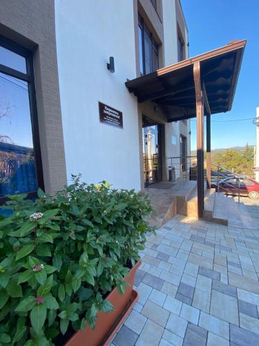 Фотография гостиницы GREY'S HOTEL Грейс отель