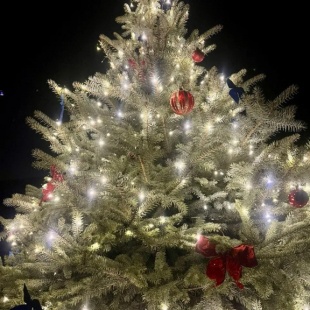 Фотография Коттеджа Частный дом с красивой костровой зоной