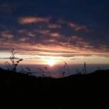 Фотография гостевого дома Zelobi Venture