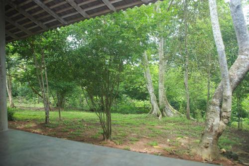 Фотография квартиры Villa Greenary