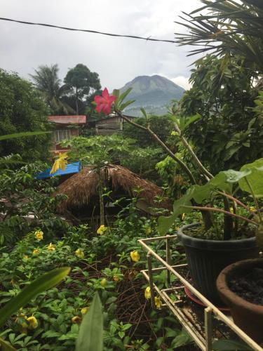 Фотография гостевого дома Ellens Homestay